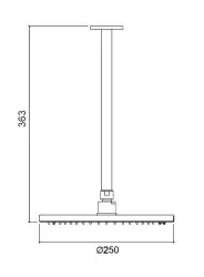 Regenbroes Waterevolution Flow 250 mm met plafondmontage PVD Gun Metal T164225GME