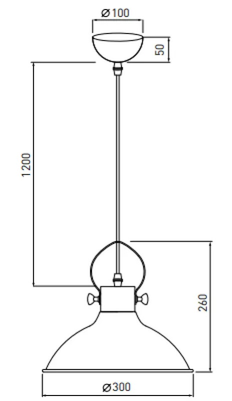 Deco Mees biała metalowa lampa wisząca z mocowaniem na klosz w kształcie lampy naftowej 2332