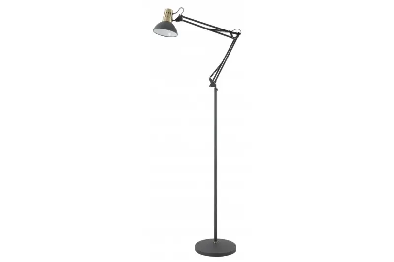 Decor Artemia czarna lampa podłogowa, długa metalowa ramię, średnica 16,5 cm, 2355