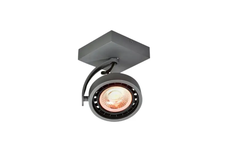 Deco Wally lampa sufitowa lub ścienna antracytowa z ruchomą głowicą, 1 źródło światła 4281