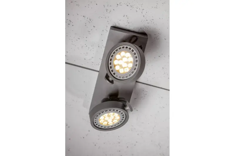 Decor Wally lampa sufitowa lub kinkiet antracyt w ruchomej głowicy 2 źródła światła 4304