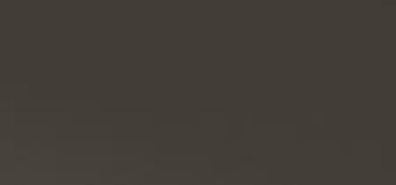 GraniteMy uniwersalne zlewozmywaki z kwarcu i granitu, próbka koloru Cafe 1208967248